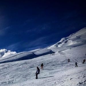 Meet your Posher, Bryan